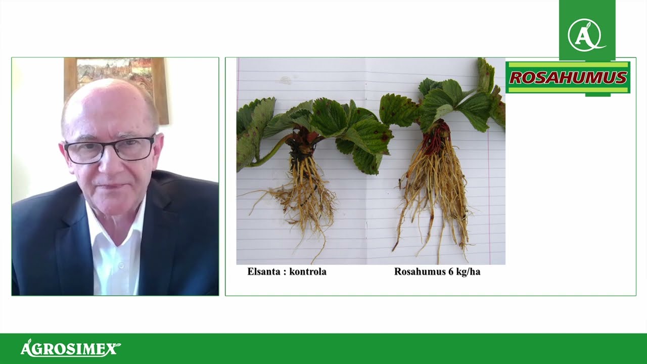 Przygotowanie pola pod uprawę truskawek - Konferencja Truskawkowa | Agrosimex