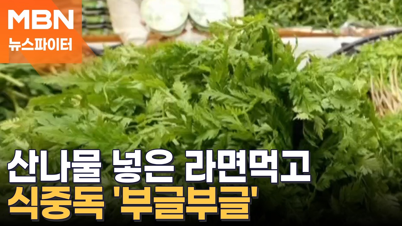라면에 산나물 넣어 먹었는데&hellip;주민 6명 집단 식중독 - 뉴스파이터