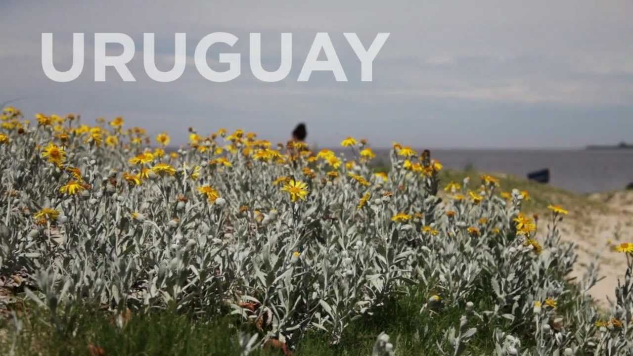 THINK Global School travels to Uruguay