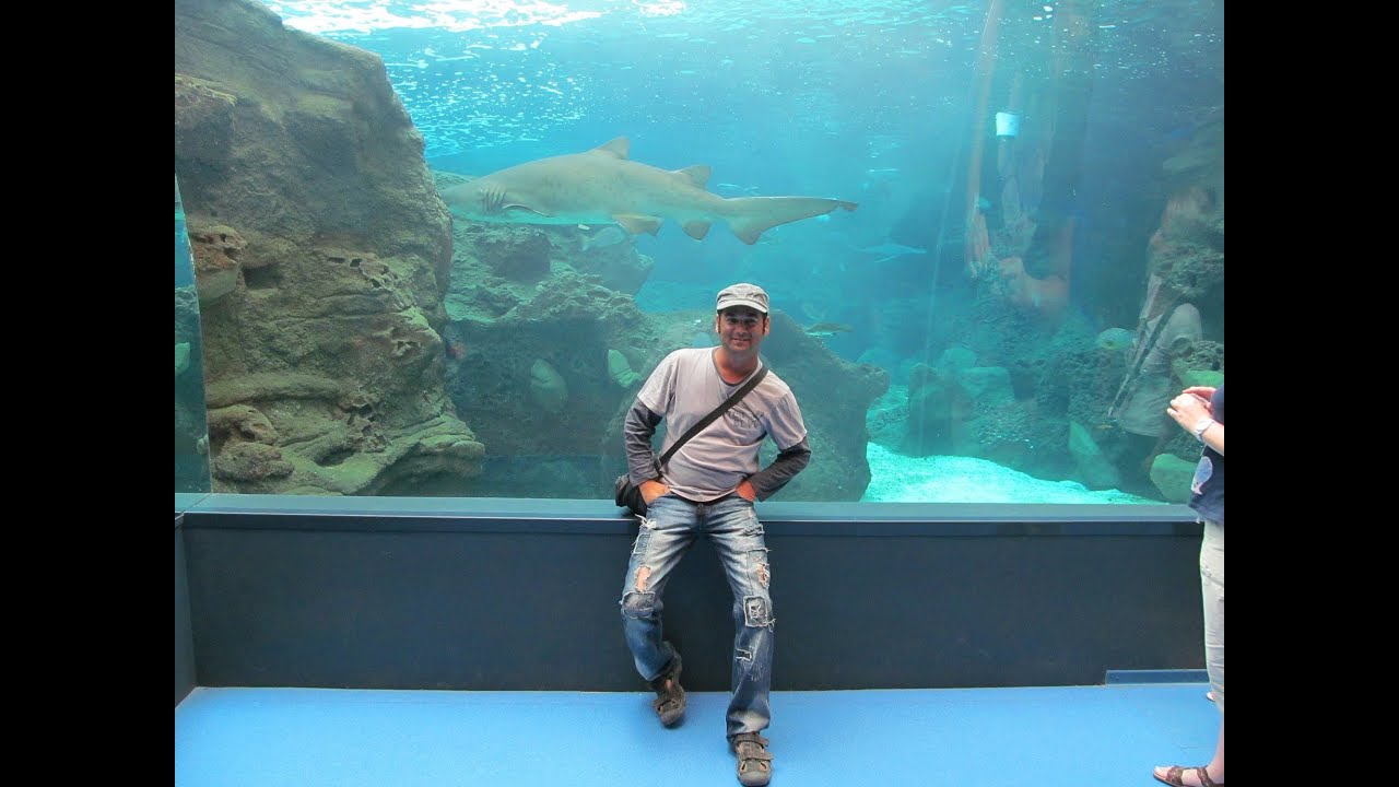 Cretaquarium. (Akwarium na Krecie). Podróże z wędką - .2013r.