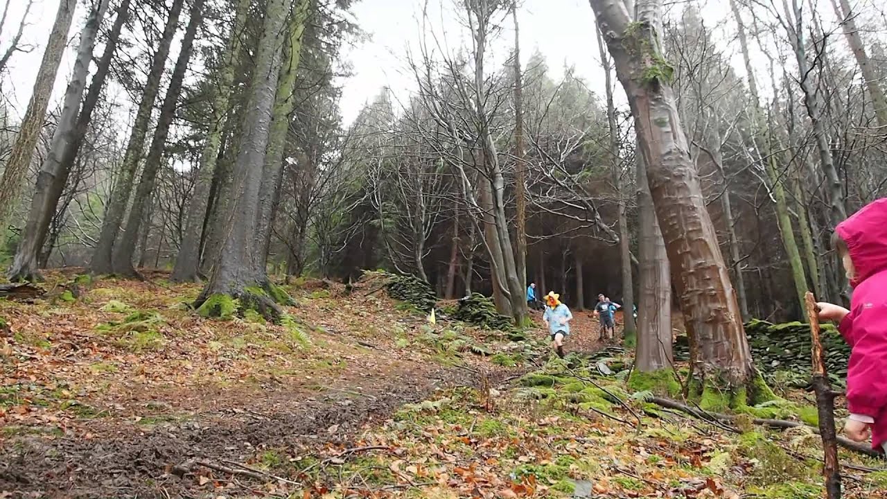 New Years Day Fell Race - 2015