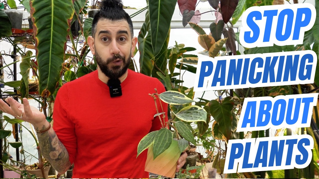 🧬 Why Your Houseplants Are Built to Survive (And Why You Should Stop Panicking)