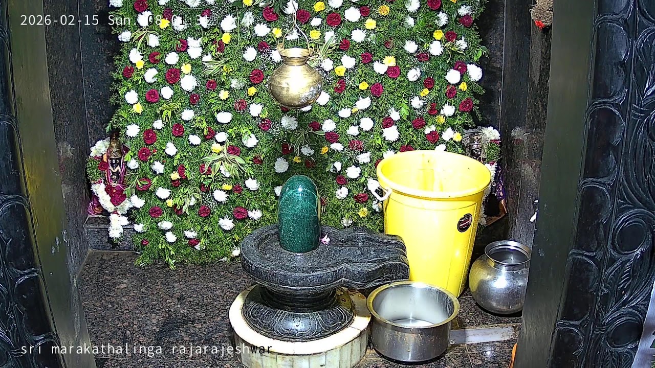 srimarakathalinga rajarajeshwara swamy temple durshed mahashivaratri live