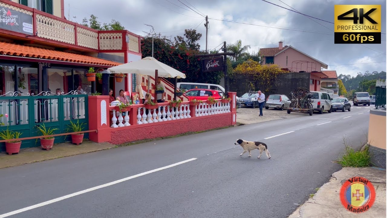 MADEIRA 🦶 Prazeres walk 💢4K 60fps 🎧Live Sounds #virtualmadeira