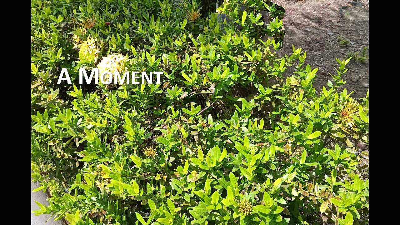MONDAY MOMENT 2