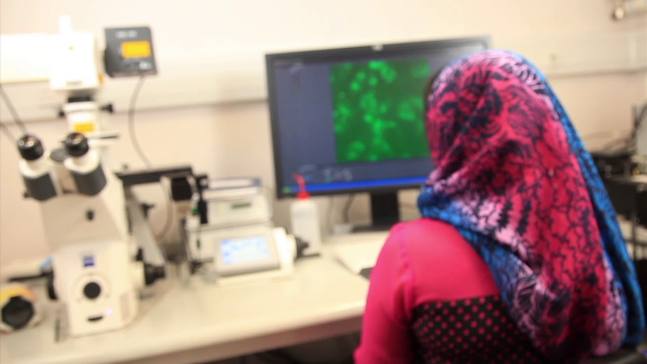 Cyca Oncosolutions