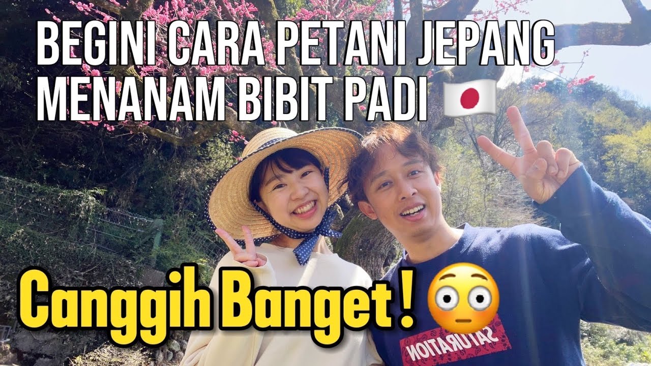 Mau tau canggihnya bikin bibit padi di jepang? │ wajib lihat ini !