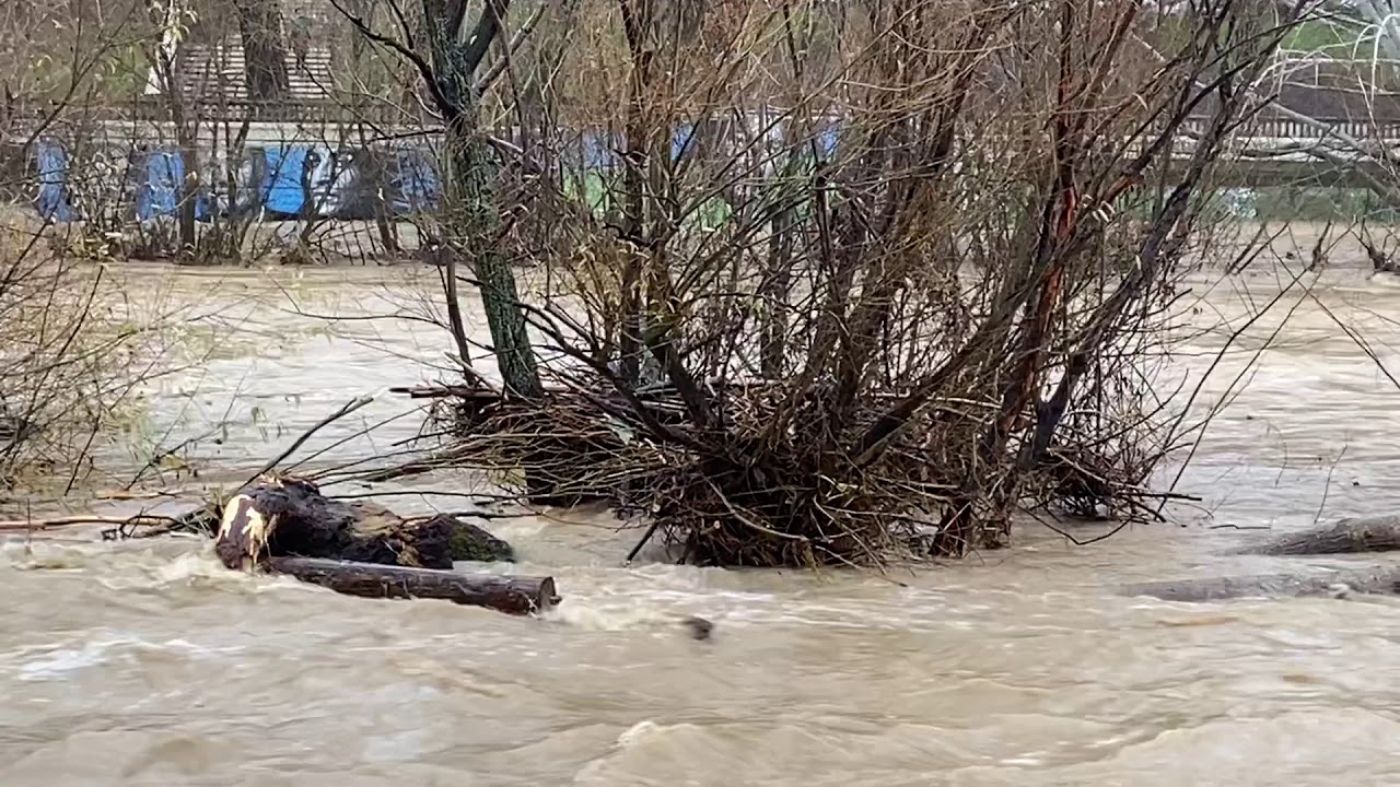 La crecida del Bernesga inunda el Paseo de Salamanca