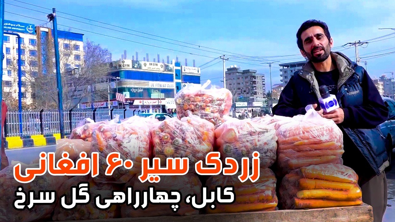 Carrot at 60 AFN per 7 kilos at Gul Surkh Intersection / زردک سیر ۶۰ افغانی در چهارراهی گلسرخ، کابل