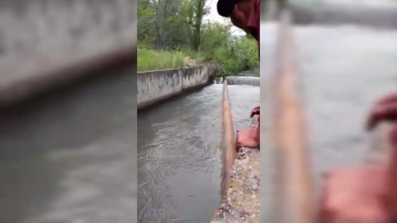 Запуск водяного насоса Гидротаран Рогозина ГТ- 150  в бетонном канале.