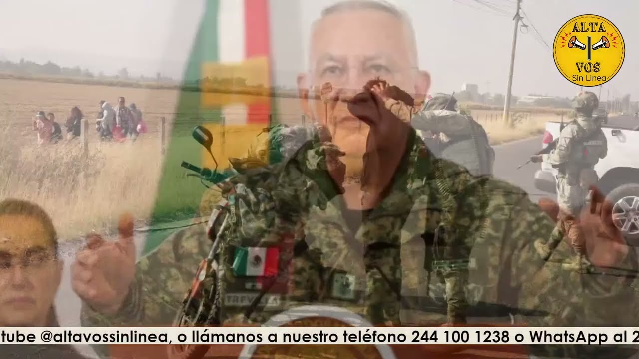 ALTA VOS BOLETIN INFORMATIVO