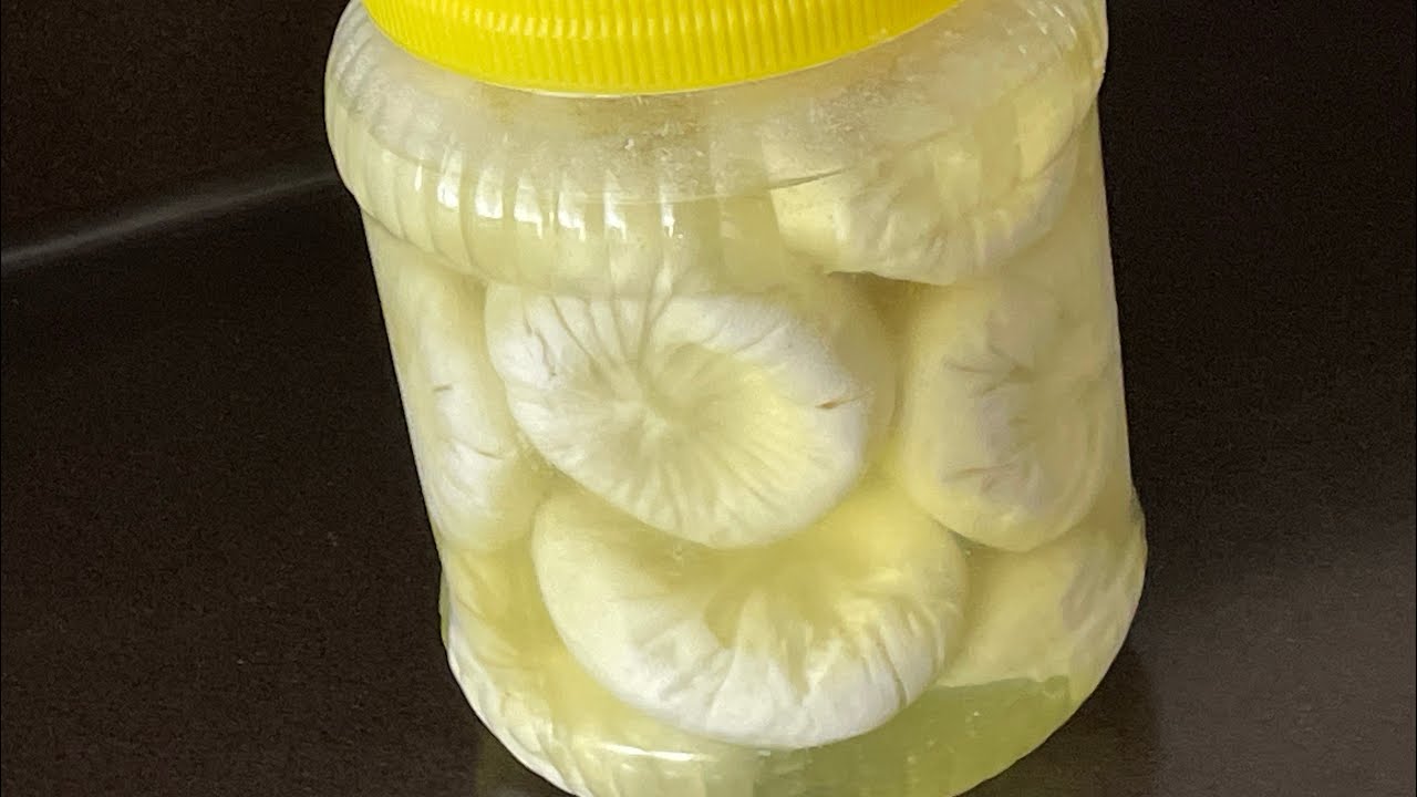 ANTEP PEYNİRİ NASIL YAPILIR ?SALAMURA NASIL KONULUR ?💯💯garanti asla❗️bozulmaz 👌✅