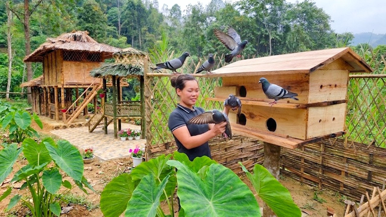 How I Built A Wooden Pigeon House & Maintained My Off Grid Farm | 90 Mins Full Movie