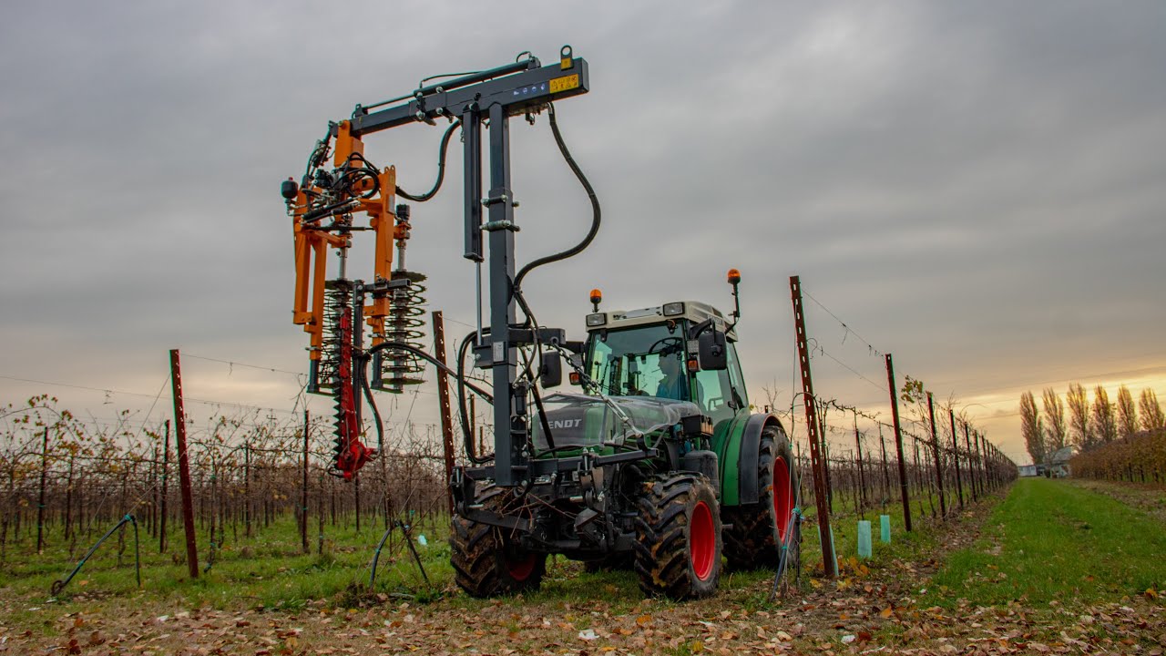 Prepotatura Vigneto Pignoletto | Fendt 209 p & Volentieri Pellenc Disco 00 | Pre-pruner 🍇