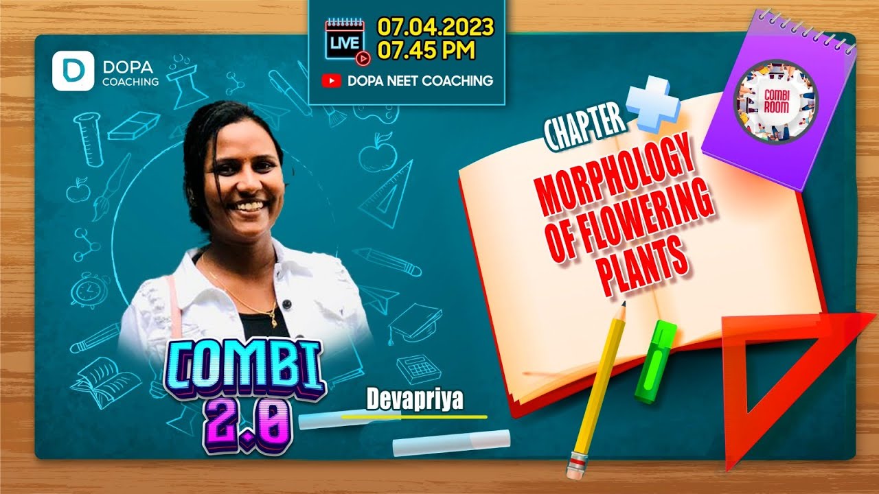 COMBI ROOM 2.0 | MORPHOLOGY OF FLOWERING PLANTS | DEVAPRIYA | NEET BIOLOGY | NEET 2023