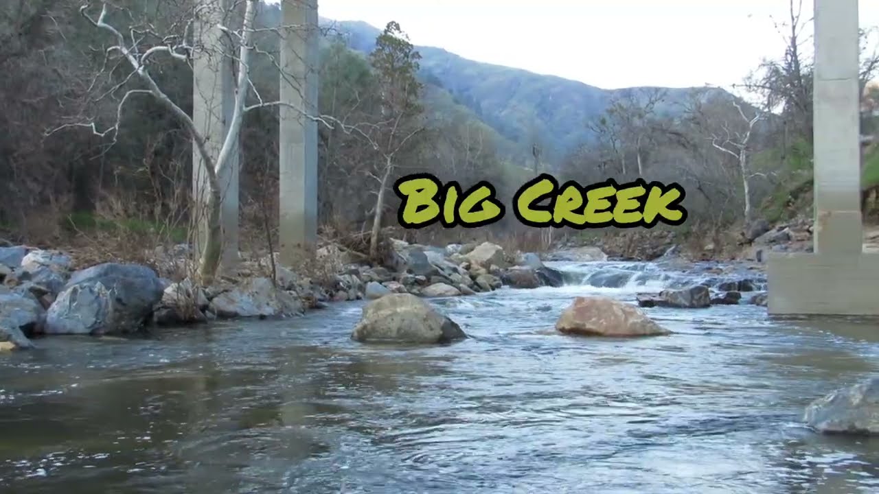 Beneath the Giants: My Unforgettable Hike Under Big Creek Bridge!