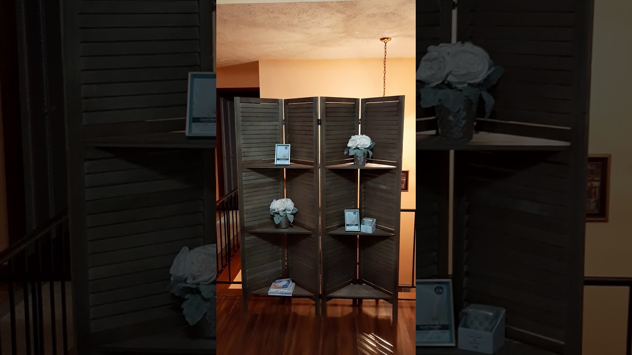 Room Divider with Shelves