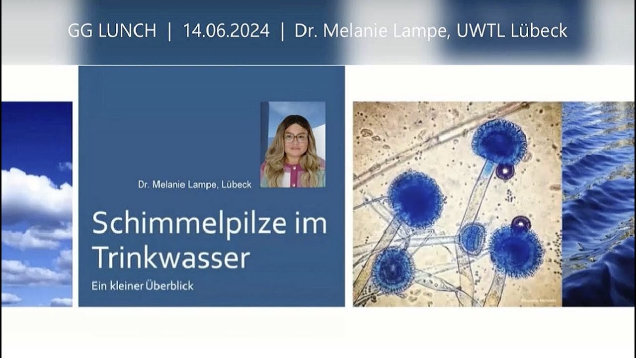 Schimmelpilze – unsichtbare Gefahr im Trinkwasser