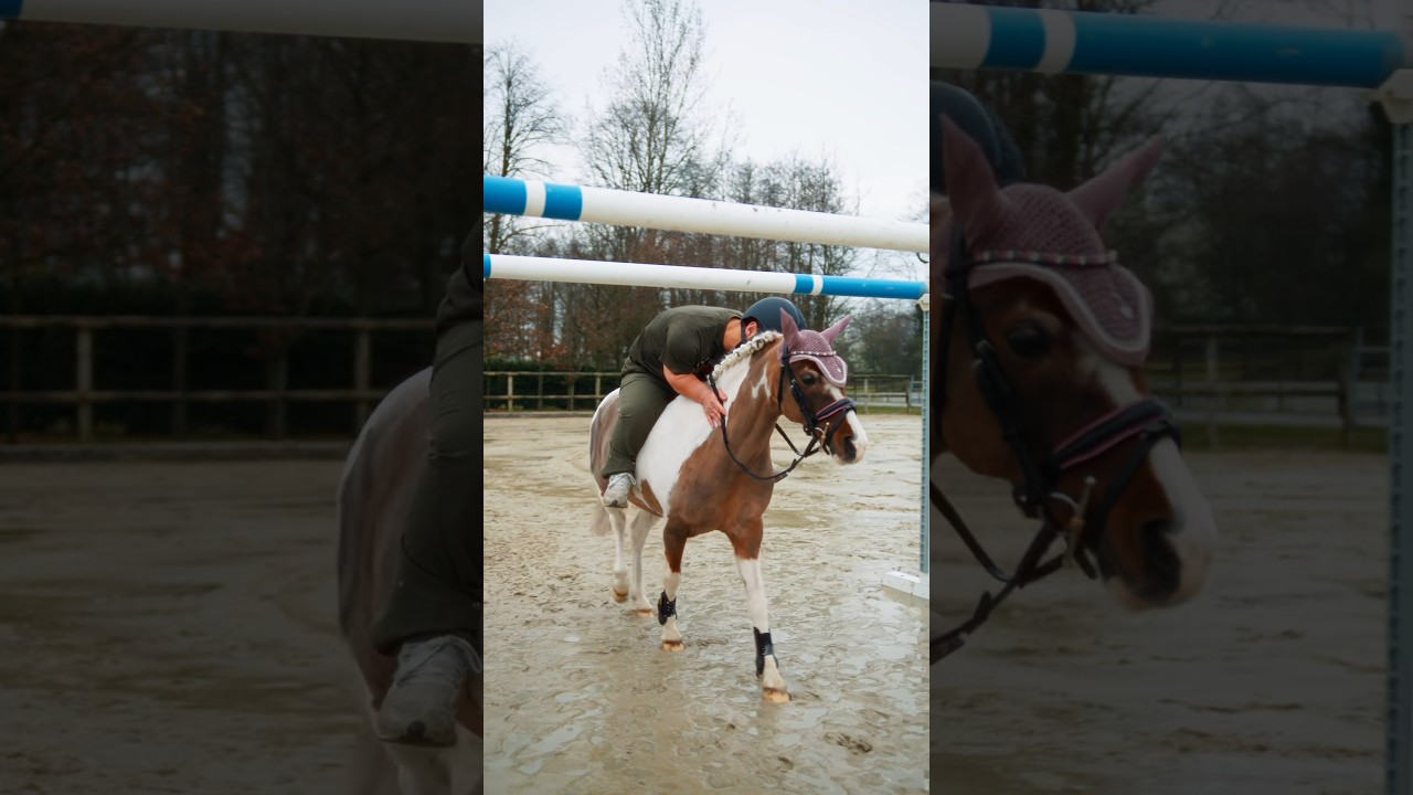Sp&auml;testens seit Wettkampftag 1 ist klar, das Reitsport genau mein Ding ist 🏇