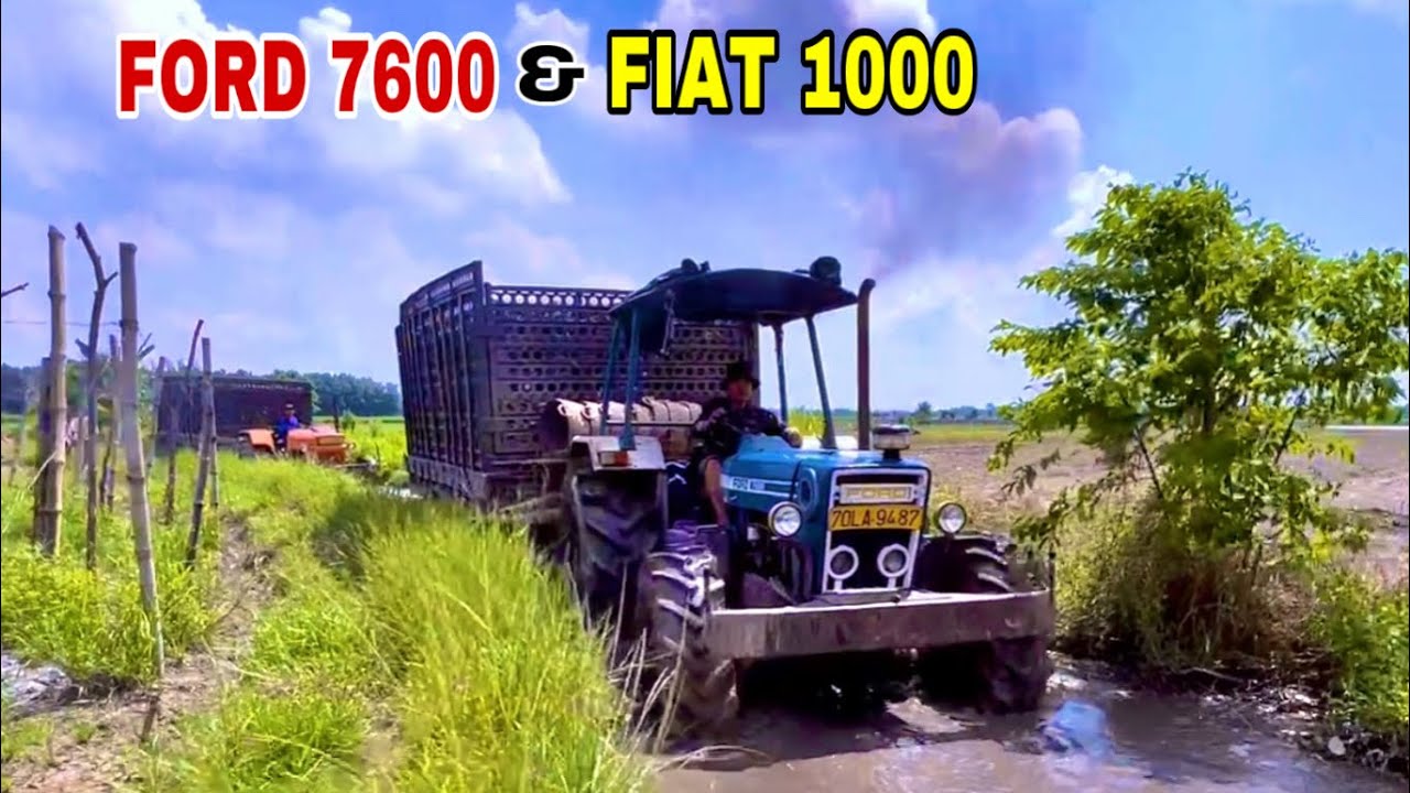 Máy Cày Ford 6600 Cùng Fiat 1000 Chở Củ Mì Chạy Đường Xe ở Tây Ninh,  Thiện Vũ TV