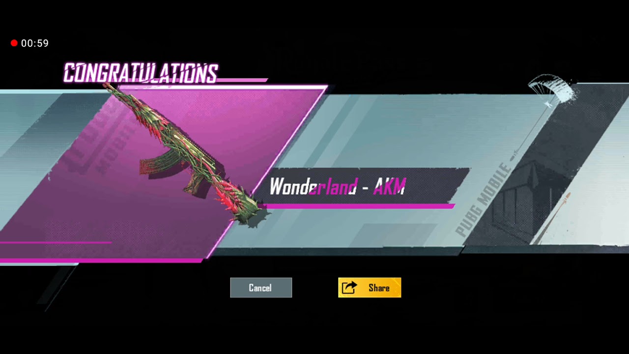 BEST AKM SKIN EVER ☢️