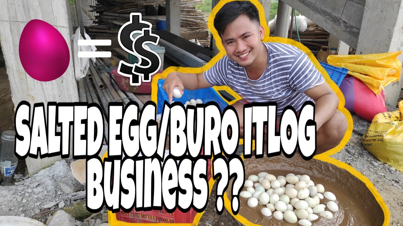 EP19 - BURO ITLOG/SALTED EGG PROCEDURE Part 2 duck layer farming