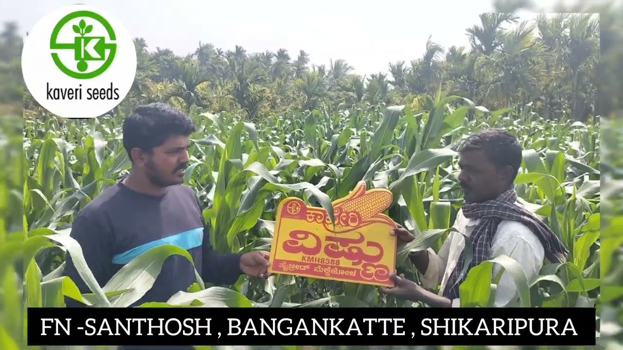 KAVERI VISHNU, SANTHOSH BANGANKATTE, SHIKARIPURA FARMER..