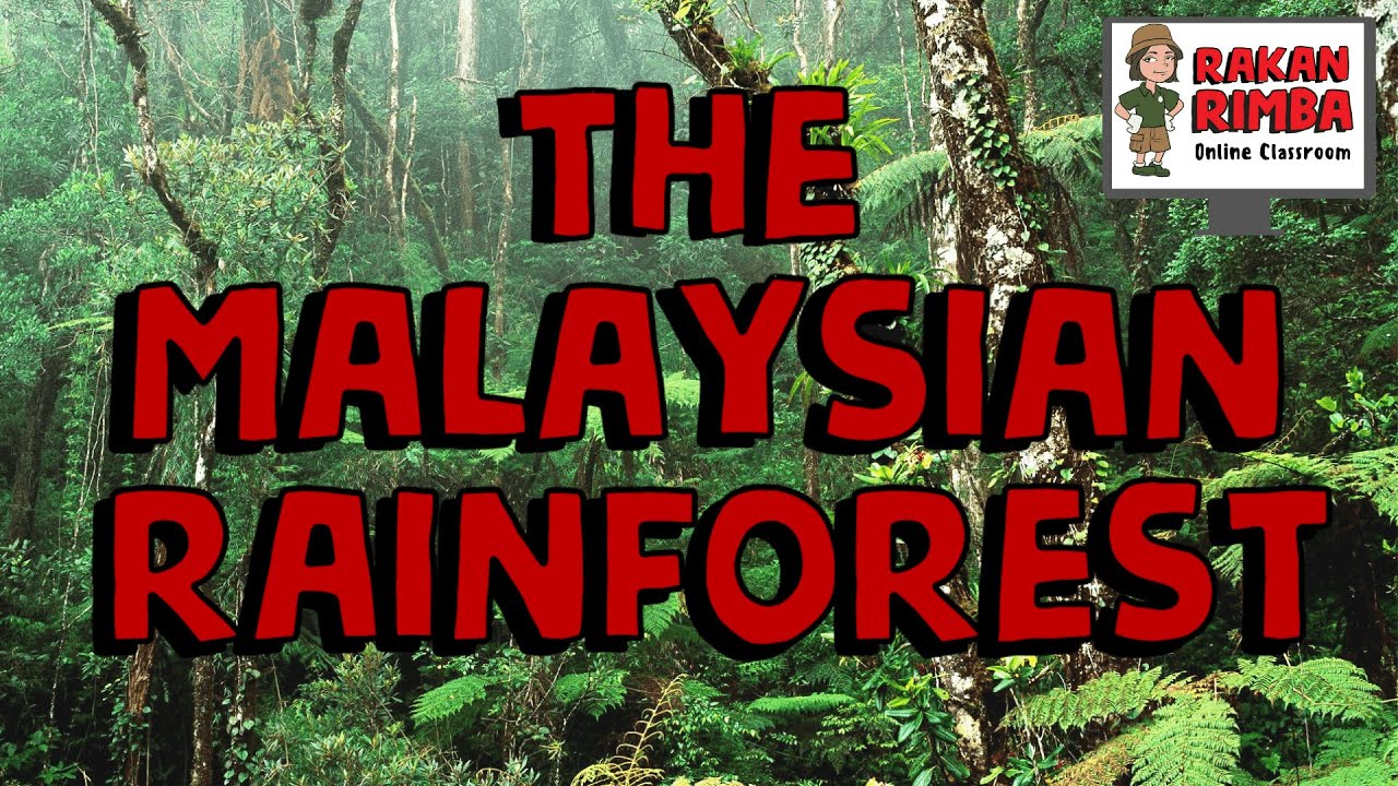 The Malaysian Tropical Rainforest I Learning Videos For Kids