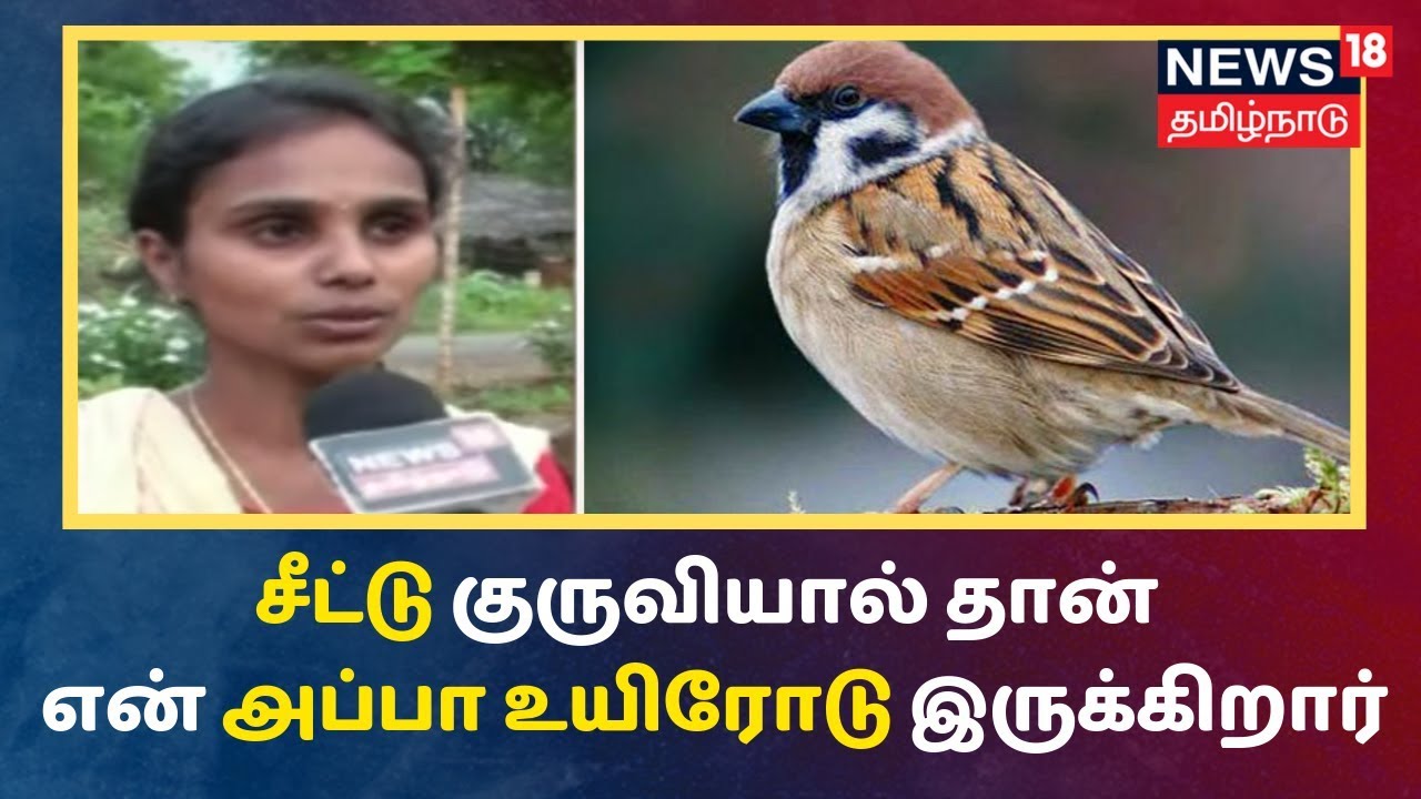 சிட்டு குருவியால் தான் என் அப்பா உயிரோடு இருக்கிறார் - மோனிஷா | Chittu Kuruvi , Kovai