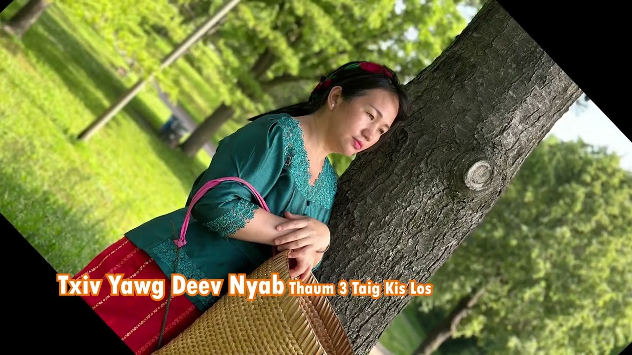 Txiv Yawg Deev Nyab Thaum 3 Taig Kis Los 6/19/24