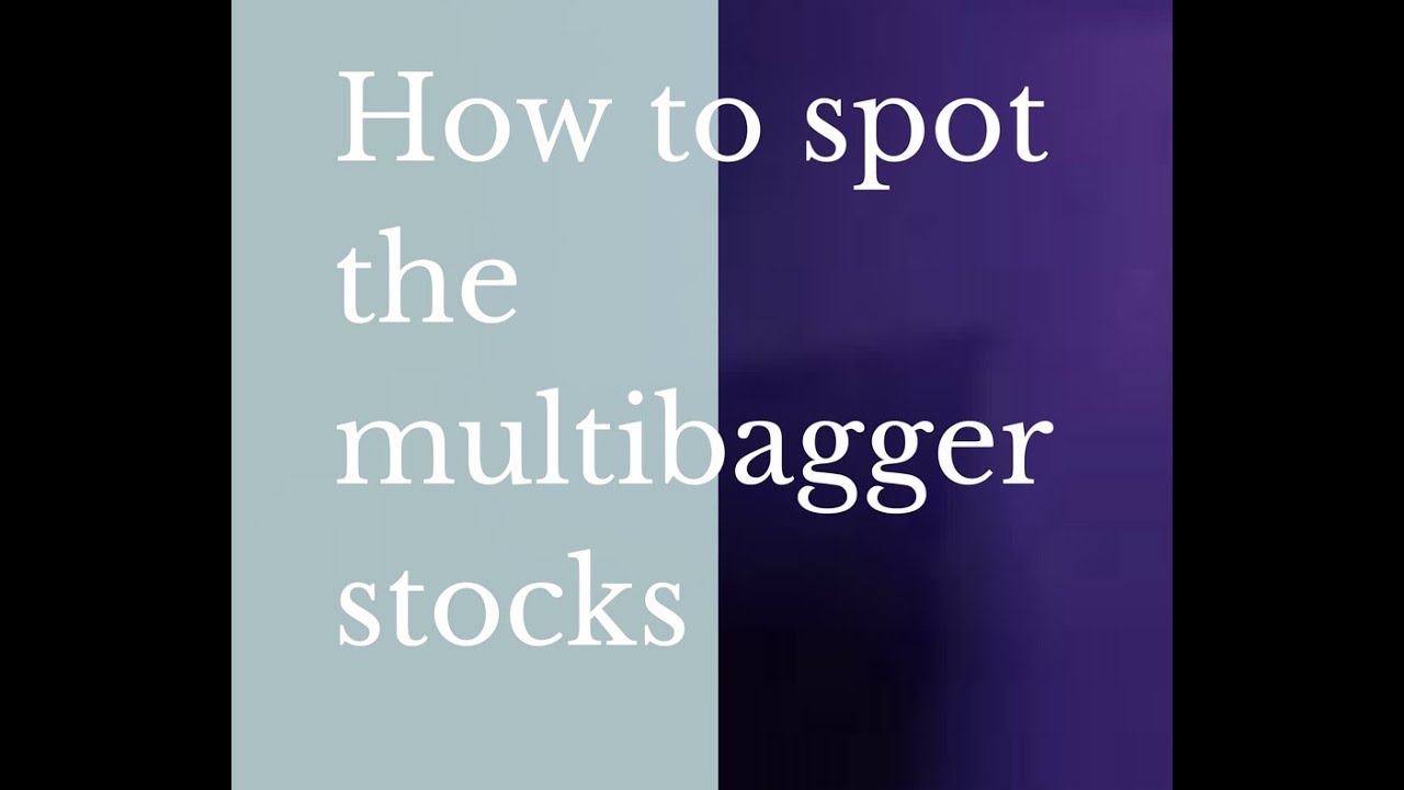 spot multibagger stocks 2017