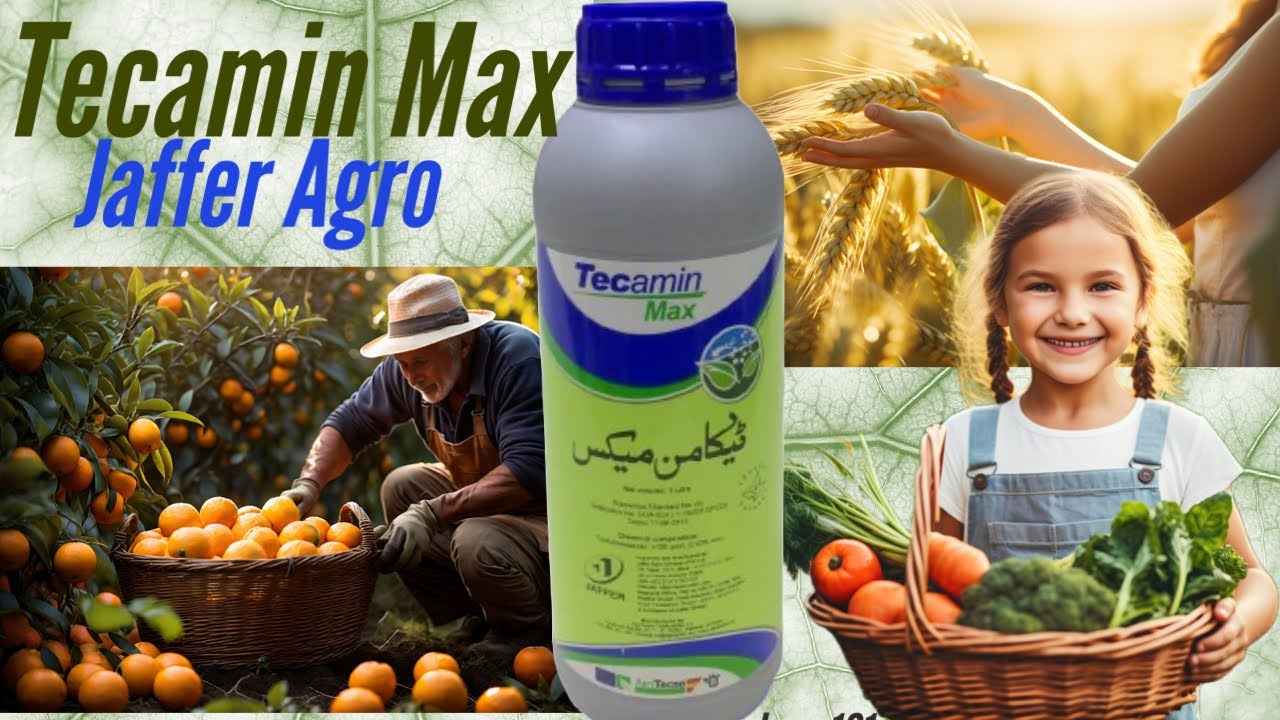 Tecamin Max Jaffer Agro Amino Acids for crops to enhance crop yields Usage and benefits | Kisan Ghar