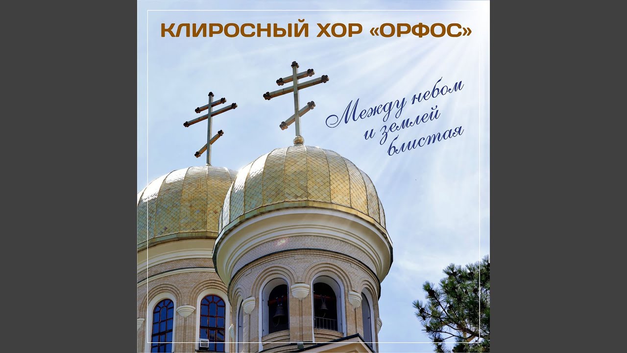 Девушка пела в церковном хоре