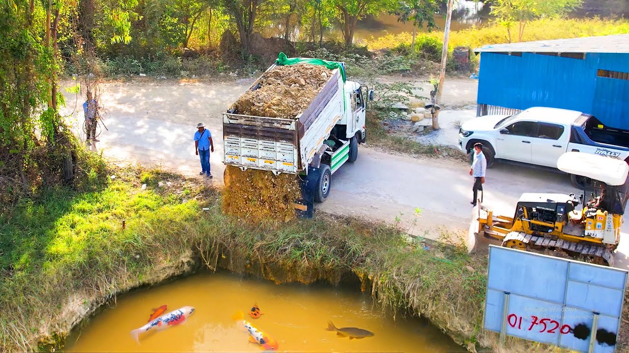 Wonderful Start Huge Project!! Heavy Dump Truck 5T With Bulldozer Pouring Stone Delete Flooded Area