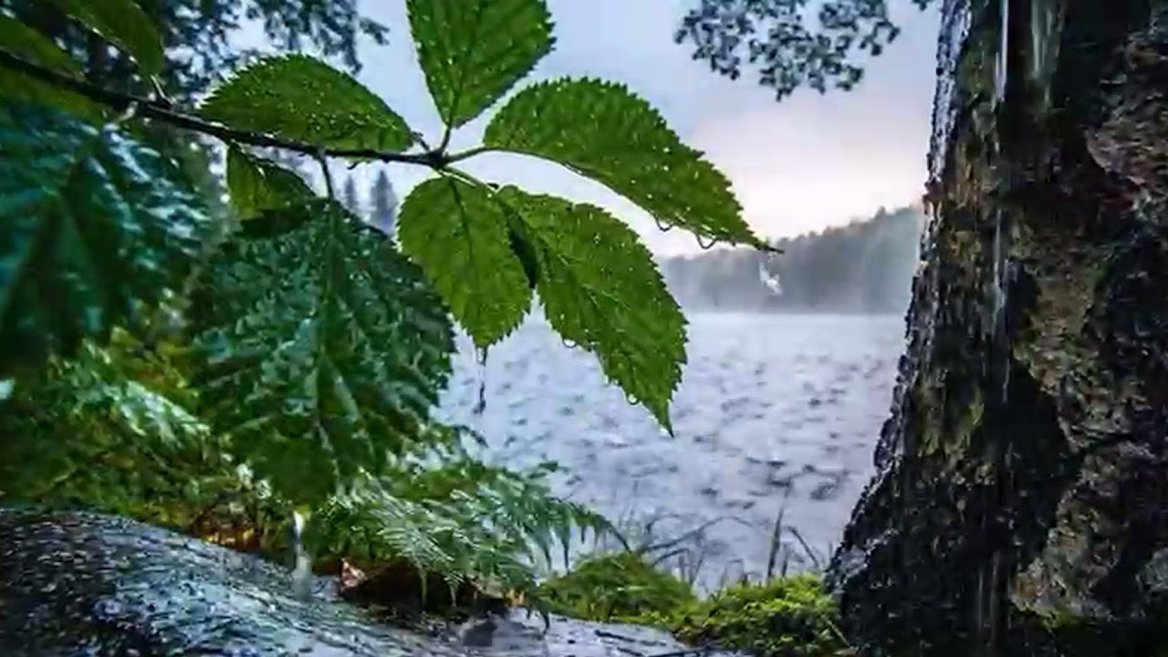 Lüks Ev Girişinde Ateş Başında Yağmur Keyfi 🌧️🔥 Luxury Fireside Ambience