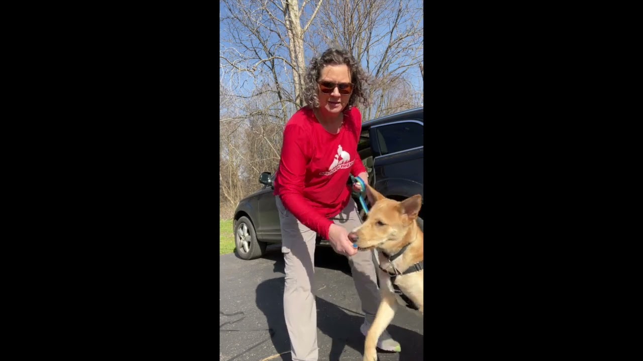 Introducing Car rides Part 1