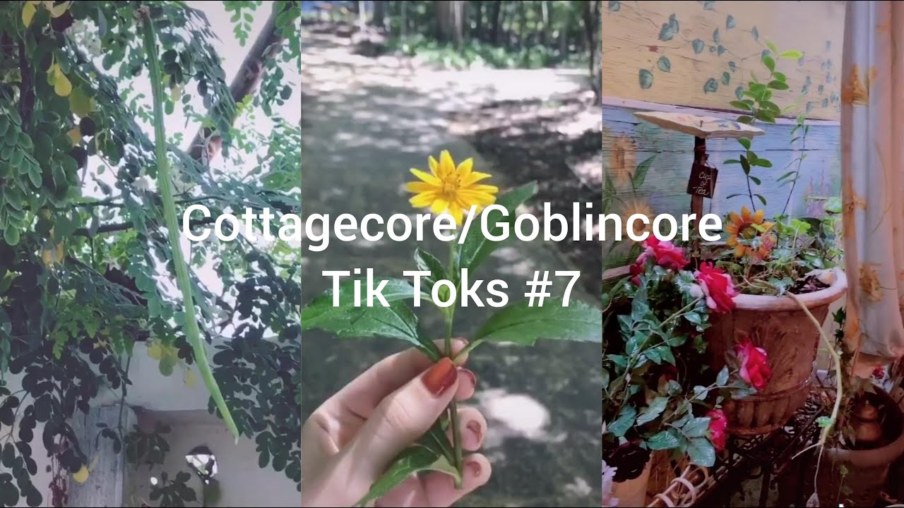 Cottagecore/Goblincore Tik Toks #7