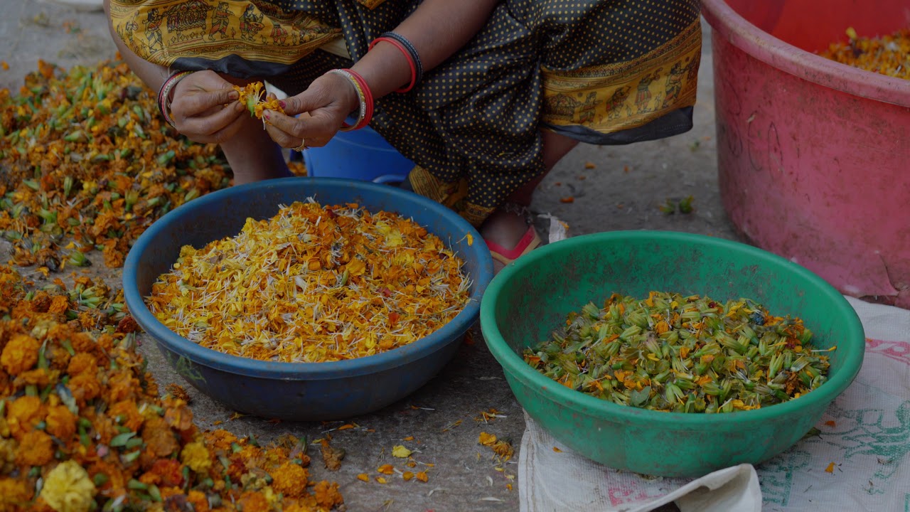 Help Us Green - From Floral Waste to Fragrant Incense Sticks