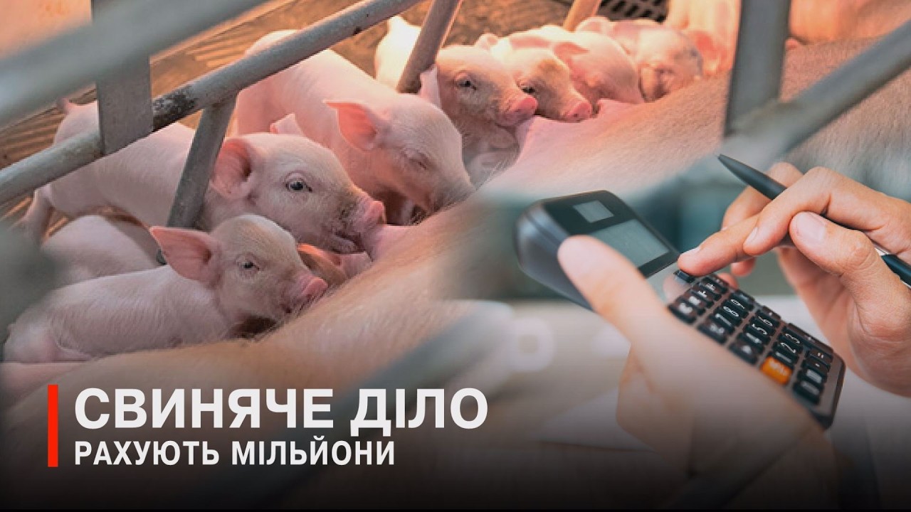 З рильця по копійчині: волинську агрофірму підозрюють у податкових махінаціях