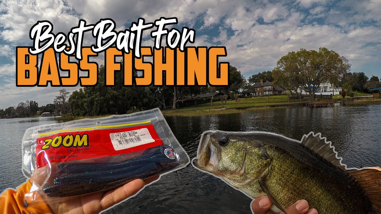 Best Bait for Bass Fishing In Central Florida (Winter Haven, FL)
