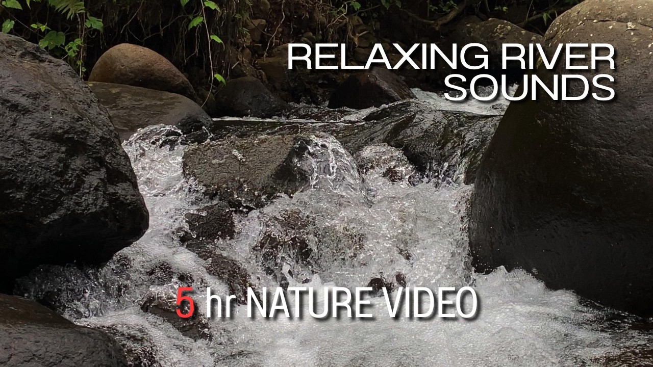 Relaxing River Sounds - Peaceful Forest River - 5 Hours Long - HD 1080p - Nature Video