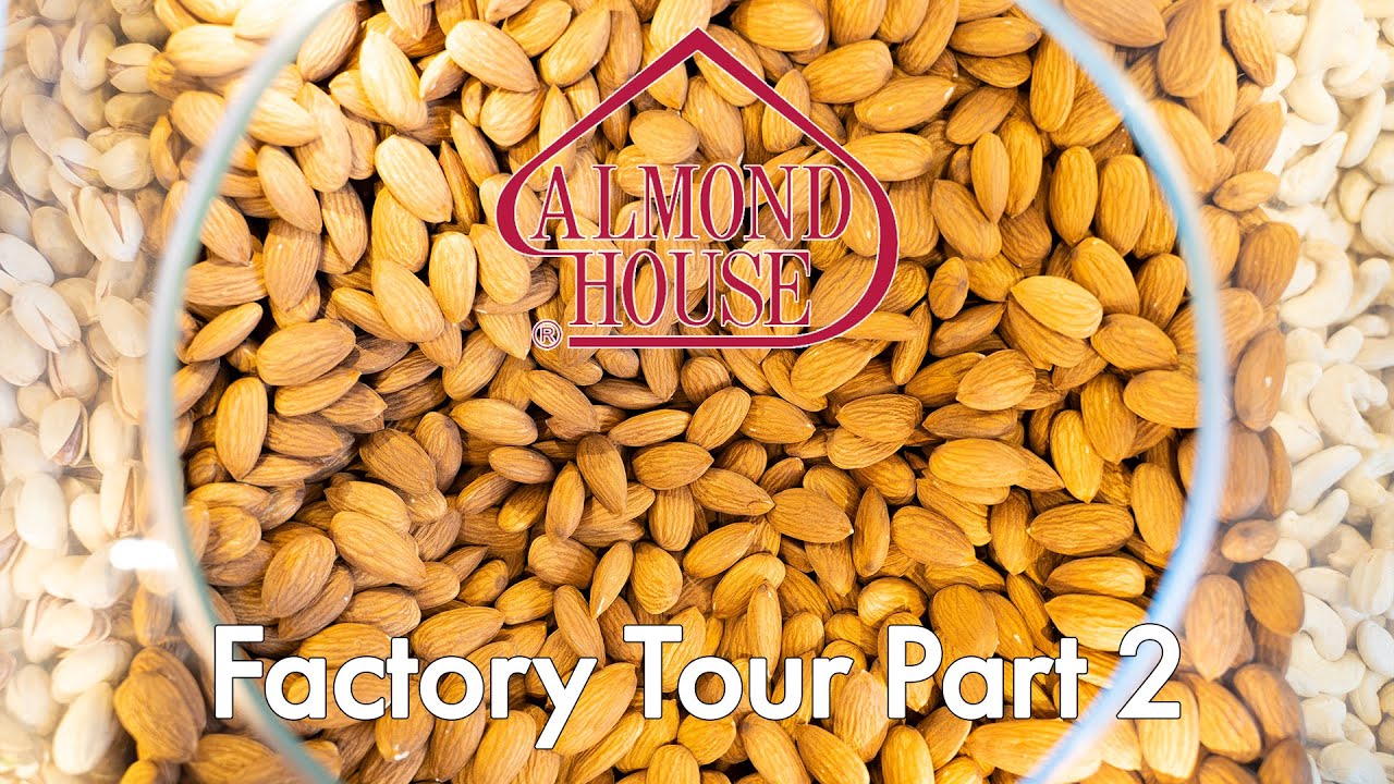 This Place is PACKED WITH TECHNOLOGY! Almond House Factory Tour - Part 2 | MEGAFACTORIES
