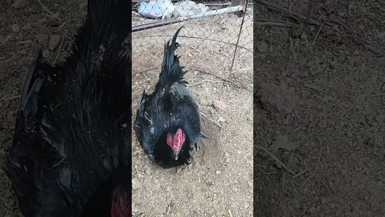 เป้รูง่อน