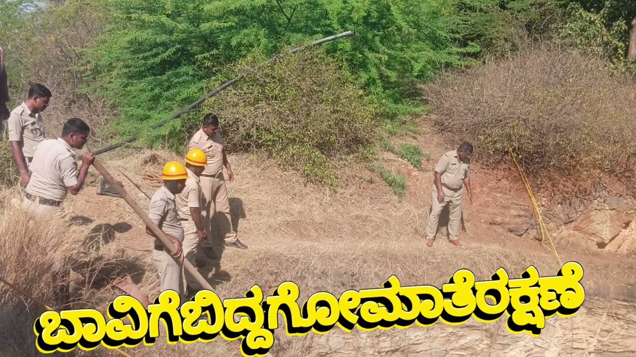 ಚಳ್ಳಕೆರೆ ಕಾಲುವೆಹಳ್ಳಿ ಗ್ರಾಮದ ತಿಮ್ಮಪ್ಪ ತೋಟದಬಾವಿಗೆ ಬಿದ್ದ ಗೋಮಾತೆ ರಕ್ಷಣೆ ಅಗ್ನಿಶಾಮಕದಳದ ಸಮಯಪ್ರಜ್ಞೆ ಮೆಚ್ಚುಗೆ