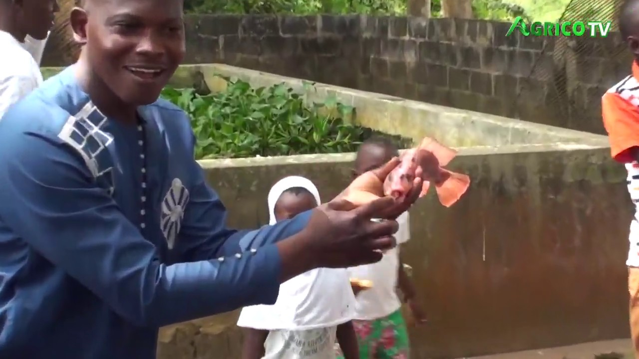 LE LYCEE AGRICOLE MEDJI DE SEKOU OUVRE SES PORTES AUX ENFANTS
