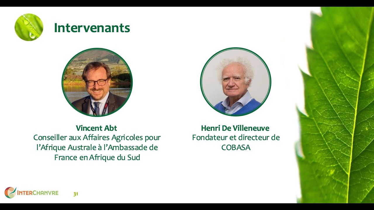 Le chanvre en Afrique du Sud : développement et coopération internationale | All Hemp 2026