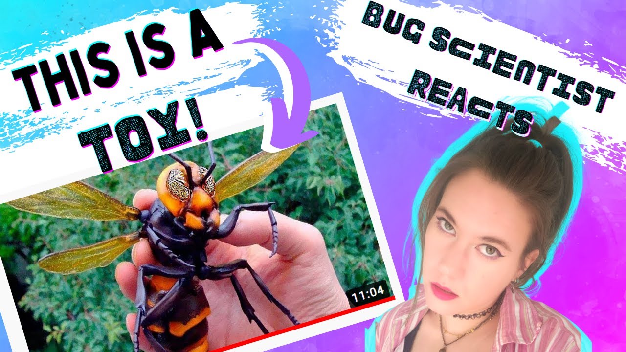 This is a TOY! | Bug Scientist ReAcTs 😣 to 10 Most Dangerous Insects Alive Today