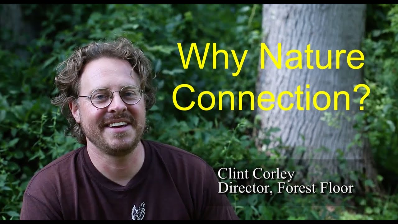 Why Nature Connection?