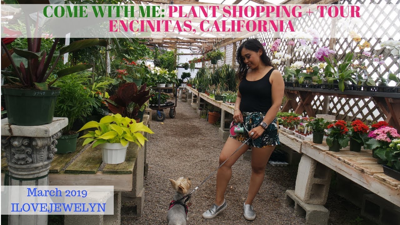 Come with me: Plant shopping + tour | Encinitas, California  | March 2019 | ILOVEJEWELYN