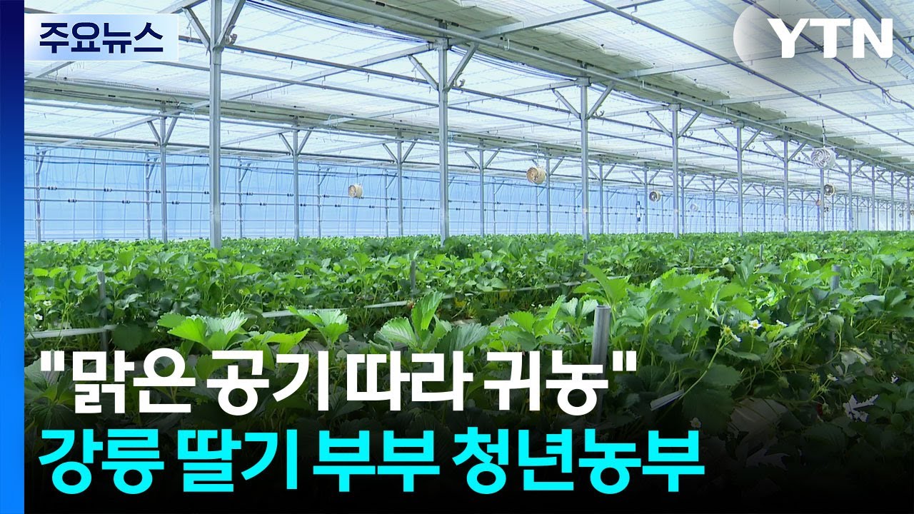 [청년농부] 